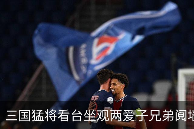 三国猛将看台坐观两爱子兄弟阋墙 弟弟更比哥哥强？