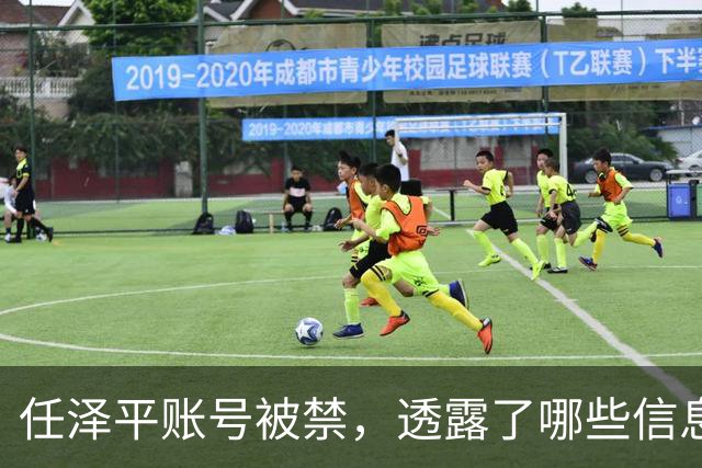 任泽平账号被禁，透露了哪些信息？