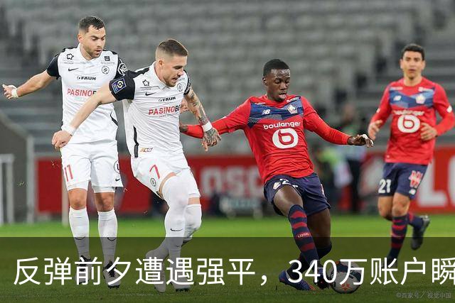 反弹前夕遭遇强平，340万账户瞬间清零，杠杆的代价有多沉重