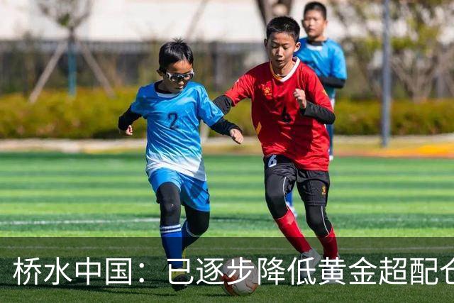 桥水中国：已逐步降低黄金超配仓位，三季度中国股市下跌主要受流动性影响，当前股票估值并不高，较低的债券收益率或推动更多资金流入股市