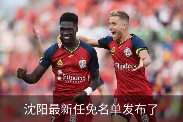 沈阳最新任免名单发布了
