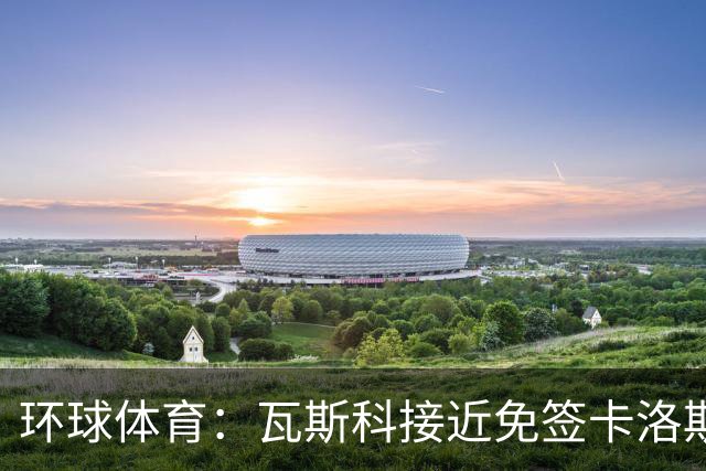 环球体育：瓦斯科接近免签卡洛斯-维尼修斯