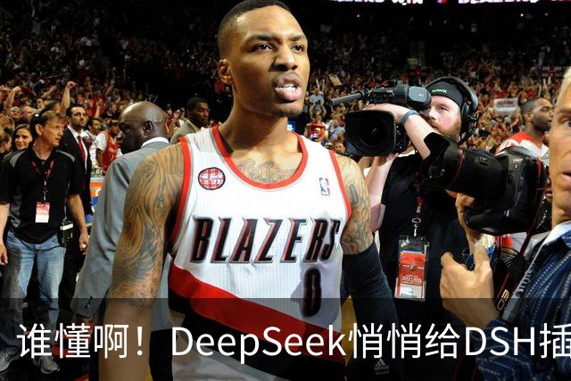 谁懂啊！DeepSeek悄悄给DSH插件开发者发钱了
