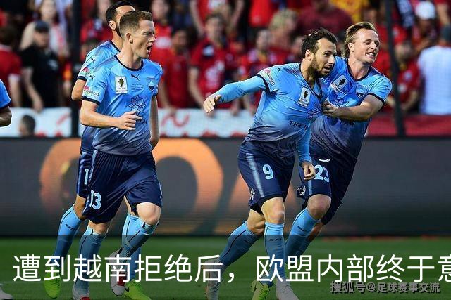 遭到越南拒绝后，欧盟内部终于意识到：什么叫 “中国力量”！