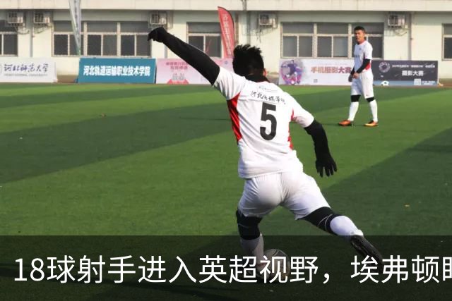 18球射手进入英超视野，埃弗顿盯上26岁前锋