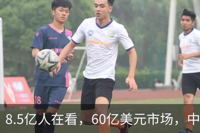 8.5亿人在看，60亿美元市场，中国短剧正在“殖民”全世界